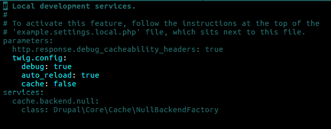 twig development service