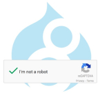 Recaptcha de drupal 8 Imagen representativa del módulo reCaptcha de Drupal 8